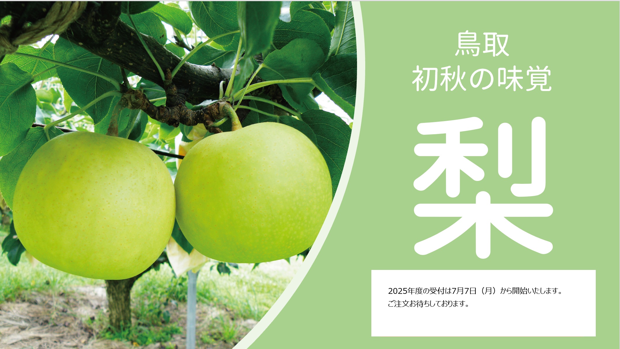 JR西日本山陰開発株式会社