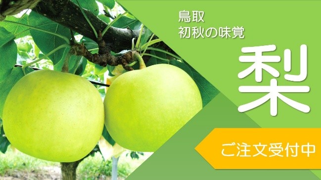JR西日本山陰開発株式会社